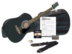 Silvertone acoustic package
